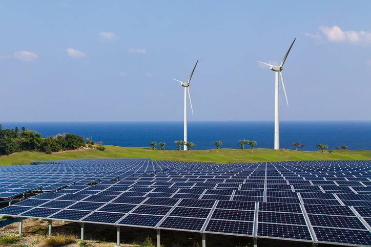 Sustainable agriculture in New Zealand