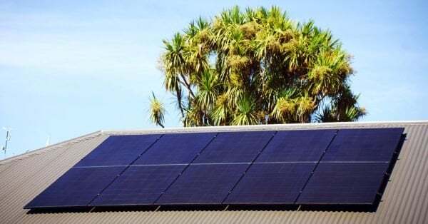 A row of solar panels is installed on a sloped metal roof with a leafy tree and blue sky in the background.